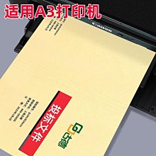 米黃色   裸片 歷史價格詳細信息