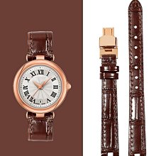 手錶帶 適用漢密爾頓手錶帶H... 歷史價格詳細信息