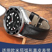 手錶帶 適用漢密爾頓手錶帶H... 歷史價格詳細信息