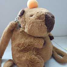 卡皮巴拉系列 拍拍燈(小夜燈、床頭燈、USB燈、伴睡入眠、紓壓小物) 歷史價格詳細信息