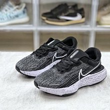 專櫃貨Nike Dunk Low 棕藍 低筒 拆線鉤 休閒 運動 復古滑板鞋 歷史價格詳細信息