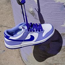 專櫃貨Nike Dunk Low 棕藍 低筒 拆線鉤 休閒 運動 復古滑板鞋 歷史價格詳細信息