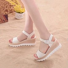 【一沐生活】塑膠薄膜一般款 3x4m PE大棚膜 防雨布 防塵塑膠布 PC34-GS(防塵罩 遮蔽膜) 歷史價格詳細信息