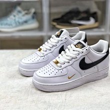 Nike 滑板鞋 Wmns SB Zoom Pogo Plus PRM 女鞋 男鞋 黑 半透明 果凍底 休閒鞋 DV5470-001 歷史價格詳細信息