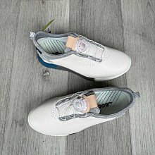 【MAD小鋪】Viltrox 唯卓仕RB-V40全彩RGB補光燈攝影led攝像燈40W拍照視頻直播間背景燈室 歷史價格詳細信息