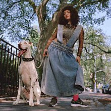 Nike Zoom Vomero 5 [FQ8898-325] 女 休閒鞋 慢跑 復古 老爹鞋 緩震 潮流 森林綠 歷史價格詳細信息