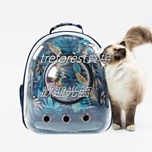 創意氣質花朵流蘇珍珠吊飾包包掛飾鑰匙圈 歷史價格詳細信息