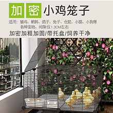 [雞丁的賣場]LEGO樂高 Lego 10298 偉士牌機車 歷史價格詳細信息