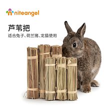 龍貓荷蘭豬侏儒兔四孔草編隧道通道躲避玩具用品 歷史價格詳細信息