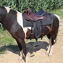馬鞍子馬具用品全套游客鞍馬術騎馬鞍子-默認最小規格價錢  其它規格請諮詢客服 歷史價格詳細信息