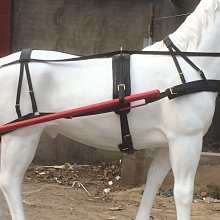 馬籠頭韁繩純牛皮牽馬繩韁繩馬具拴馬套馬裝備新款龍套金屬扣大氣 歷史價格詳細信息