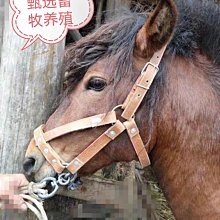 甄選馬丁靴 工裝靴 雪地靴 高幫 增高 增高男 皮 軍靴 機車靴 英倫 靴子 厚底 皮爾世紳 歷史價格詳細信息