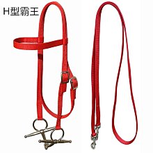 馬籠頭韁繩純牛皮牽馬繩韁繩馬具拴馬套馬裝備新款龍套金屬扣大氣 歷史價格詳細信息