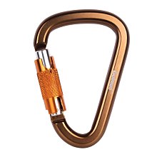 自動梨花頭風梳捲髮器 女士二合一捲髮棒電動吹風機捲髮器 歷史價格詳細信息