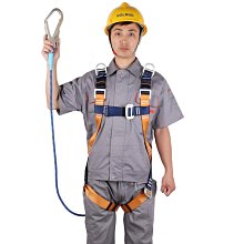 哥爾姆高空防墜器塔吊防墜器施工電梯防墜落抓繩器止墜器889 歷史價格詳細信息