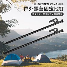 固定式地插式地埋式 羽排網多用柱 氣排球網架羽毛球網架標準網架 歷史價格詳細信息