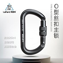 登山安全 萊普特戶外專業攀巖D型主鎖登山快掛絲扣高承重速降裝備安全鎖扣 歷史價格詳細信息