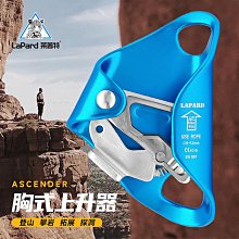登山安全 萊普特戶外專業攀巖D型主鎖登山快掛絲扣高承重速降裝備安全鎖扣 歷史價格詳細信息