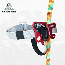 登山安全 萊普特戶外專業攀巖D型主鎖登山快掛絲扣高承重速降裝備安全鎖扣 歷史價格詳細信息