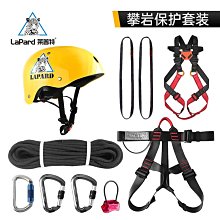 登山安全 萊普特戶外專業攀巖D型主鎖登山快掛絲扣高承重速降裝備安全鎖扣 歷史價格詳細信息