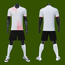 新款成人款運動型智能手環支持IOS/安卓多國語言超長續航戶外防水 歷史價格詳細信息