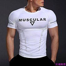夏季健身短袖男 速乾緊身衣 肌肉兄弟 跑步訓練服 排汗透氣高彈內搭衫 夏季 涼感 舒適 歷史價格詳細信息