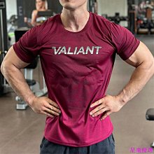 運動短袖 SLLAMBELL美式訓練服 無袖投籃服 休閒上衣 運動背心 跑步健身網眼上衣 寬鬆短袖上衣 透氣背心 坎肩 歷史價格詳細信息