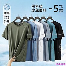 冰絲短袖T恤男  彈力舒適透氣 圓領T恤 速乾上衣 柔軟親膚短袖上衣 工作聚會休閒逛街 男生上衣【滿299元發貨】 歷史價格詳細信息