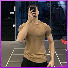 短袖男士健身t恤港風新款運動圓領修身速乾跑步透氣休閒 歷史價格詳細信息