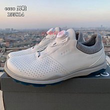 Ecco 高爾夫球鞋 Golf S-Three Gore-Tex 男鞋 防水 GTX 灰 綠 休閒 運動鞋 10290401379 歷史價格詳細信息