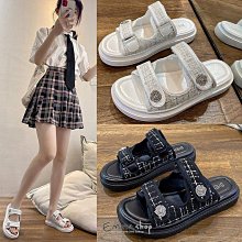 【海豚】『代購』夏目友人帳　陶瓷杯墊 京まふ2024　夏目貴志　貓咪老師・斑　2025年1月底到臺 歷史價格詳細信息