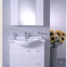 普通浴室 櫃 單獨掛牆式化妝室儲 梳妝帶放大 實木帶置 架收納?? 歷史價格詳細信息