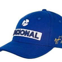 Ayrton Senna 1984-1994 1/8 安全帽 一套11個 歷史價格詳細信息