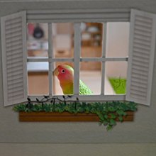 仿真可愛動物多用面紙盒(2入組) 歷史價格詳細信息