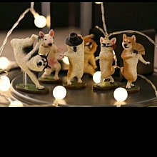 ANIMAL LIFE 狗狗瑜珈大師 盒玩 玩具反斗城 歷史價格詳細信息