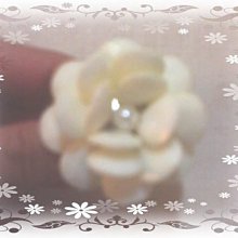 山茶花戒指：在心靈成長中，我認識愛[二手書_良好]5715 TAAZE讀冊生活 歷史價格詳細信息