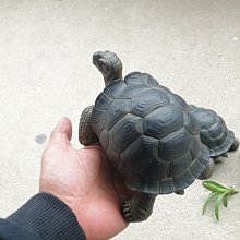 (MOLD-B80)高仿真白化大鱷龜模型爬蟲模型合成樹脂動物 歷史價格詳細信息