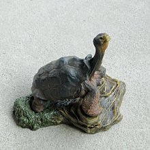 (MOLD-B80)高仿真白化大鱷龜模型爬蟲模型合成樹脂動物 歷史價格詳細信息