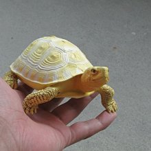 (MOLD-B80)高仿真白化大鱷龜模型爬蟲模型合成樹脂動物 歷史價格詳細信息