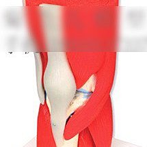 【C125辛迪酷G】電動獨輪車平衡車思維火星車代步電瓶車自體感車單輪成人兒童智能 歷史價格詳細信息