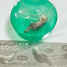 《模型》萬代盒蛋食玩  G FRAME FA 01骨架拼裝自由決鬥nt牛高達 有貨 歷史價格詳細信息