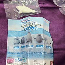 NAMCO 日本大型電玩 COBRA 專用招牌 歷史價格詳細信息