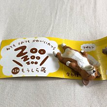 第1彈 黑貓大舞台 豬哥亮歌廳秀百匯 2 八大電視 奇亨 DVD專輯 二手 B23 歷史價格詳細信息