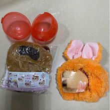 棉花田【貓咪好朋友】日本超人氣印花珪藻土吸水抗菌浴墊(35x45cm) 歷史價格詳細信息