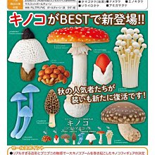 奇譚俱樂部 NTC生物圖鑒 海蜇 水母掛件吊飾 深海生物 扭蛋半米潮殼直購 歷史價格詳細信息