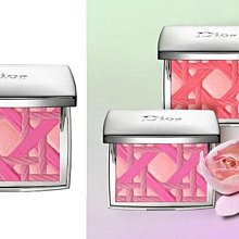 限量DIOR迪奧VIP會員禮氣質米白皮革化妝包 diy鏈條單肩包 肩背包 側背包 生日禮物 情人節禮物 歷史價格詳細信息