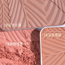 【畫紅妝】複古紅瑪瑙淡水真株好運手鏈百搭中國風新年手飾 歷史價格詳細信息