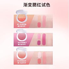 RMT滑板專業板雙翹板短板四輪刷街初學者成人男女生青少年Mus 歷史價格詳細信息