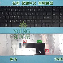 【漾屏屋】索尼 SONY VAIO Fit 13A SVF13N 全新 黑色 背光 中文 筆電 鍵盤 帶C殼 歷史價格詳細信息