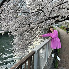 紅泰輸送機專業定做 重載鏈板輸送機定做 歷史價格詳細信息